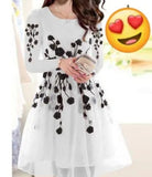 Stylish Black Organza Embroidered 2 Piece Women's Outfit