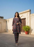 Multicolor Printed Cotton 2 Piece Women's Stitched Dress Set