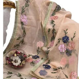 Peach Organza Dupatta with Heavy Beads & Brush Paint Design