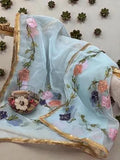 Elegant Blue Organza Dupatta with Brush Paint & Beads Detail