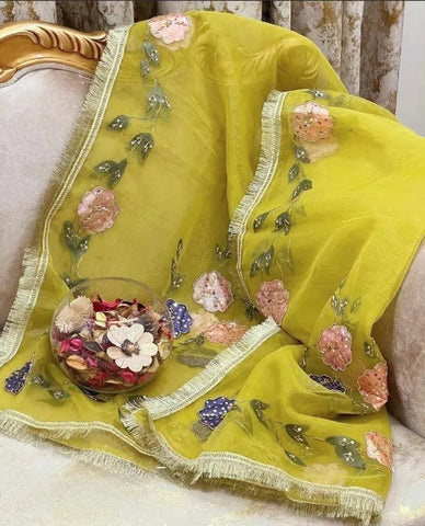 Elegant Green Organza Dupatta with Hand Embroidery & Beads