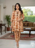 Brown Printed Khaddar 2 Piece Women's Winter Outfit